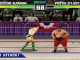 Legends of Wrestlemania, an arcade style wrestling game